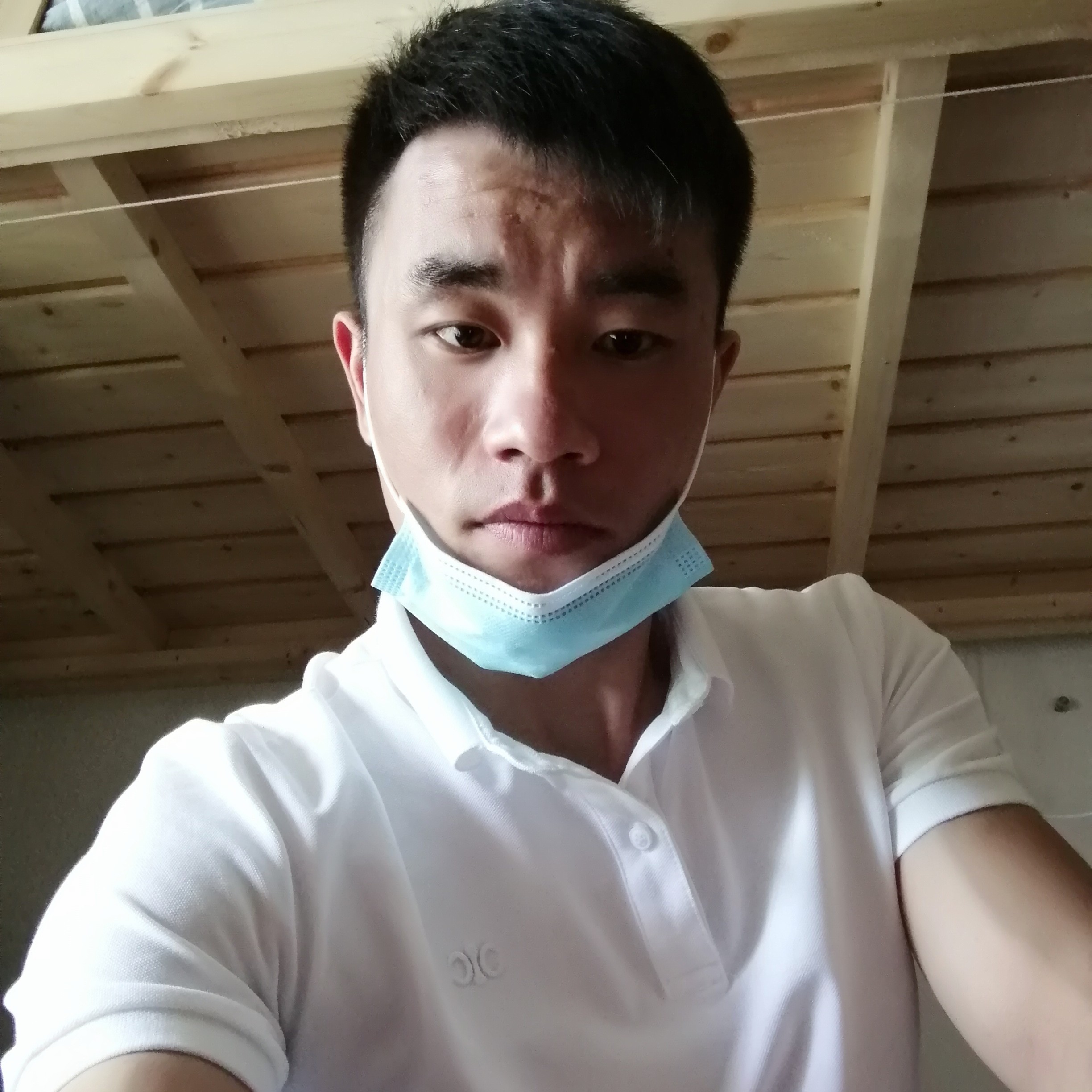 小鸽子笑健忘的照片