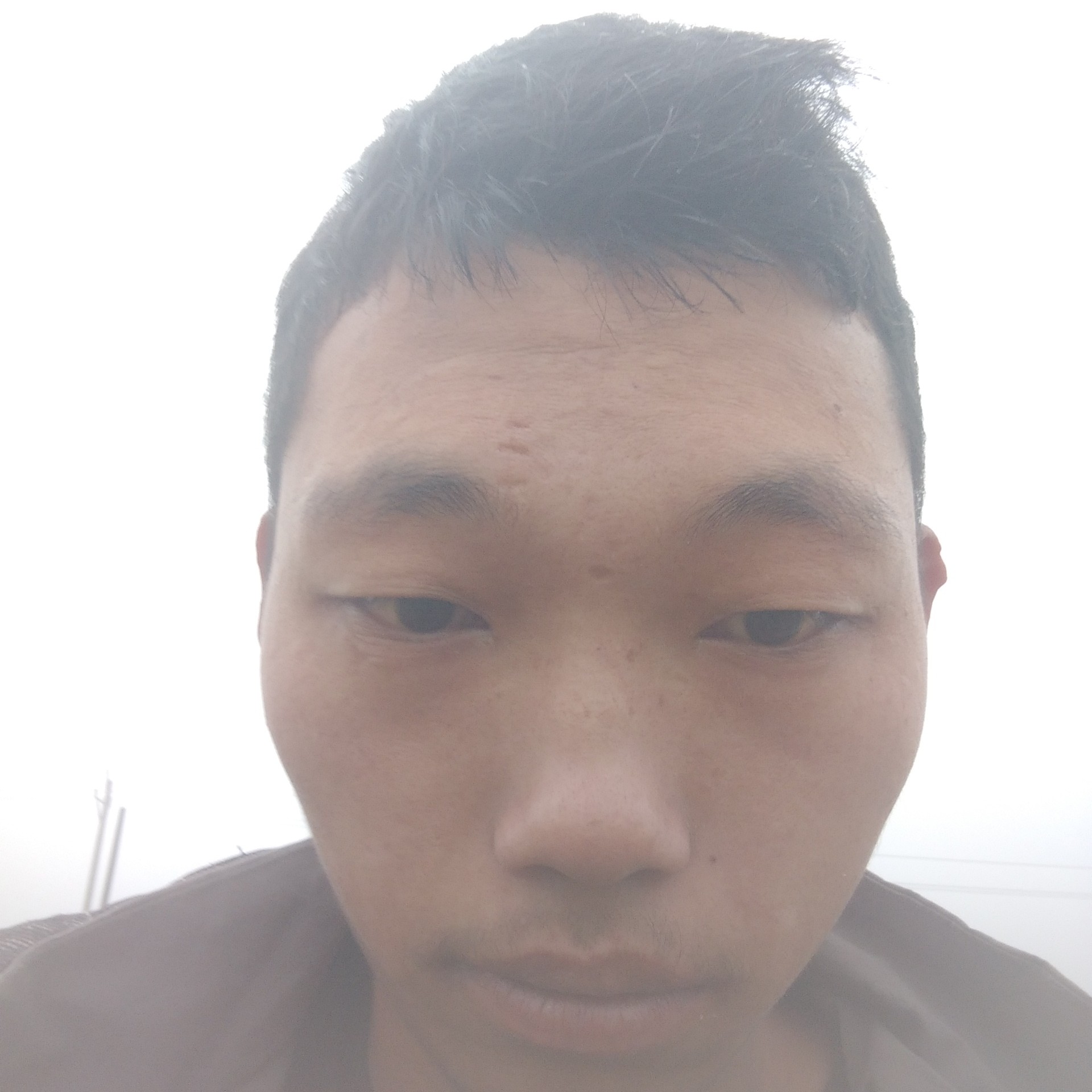 铃铛停止优雅的照片