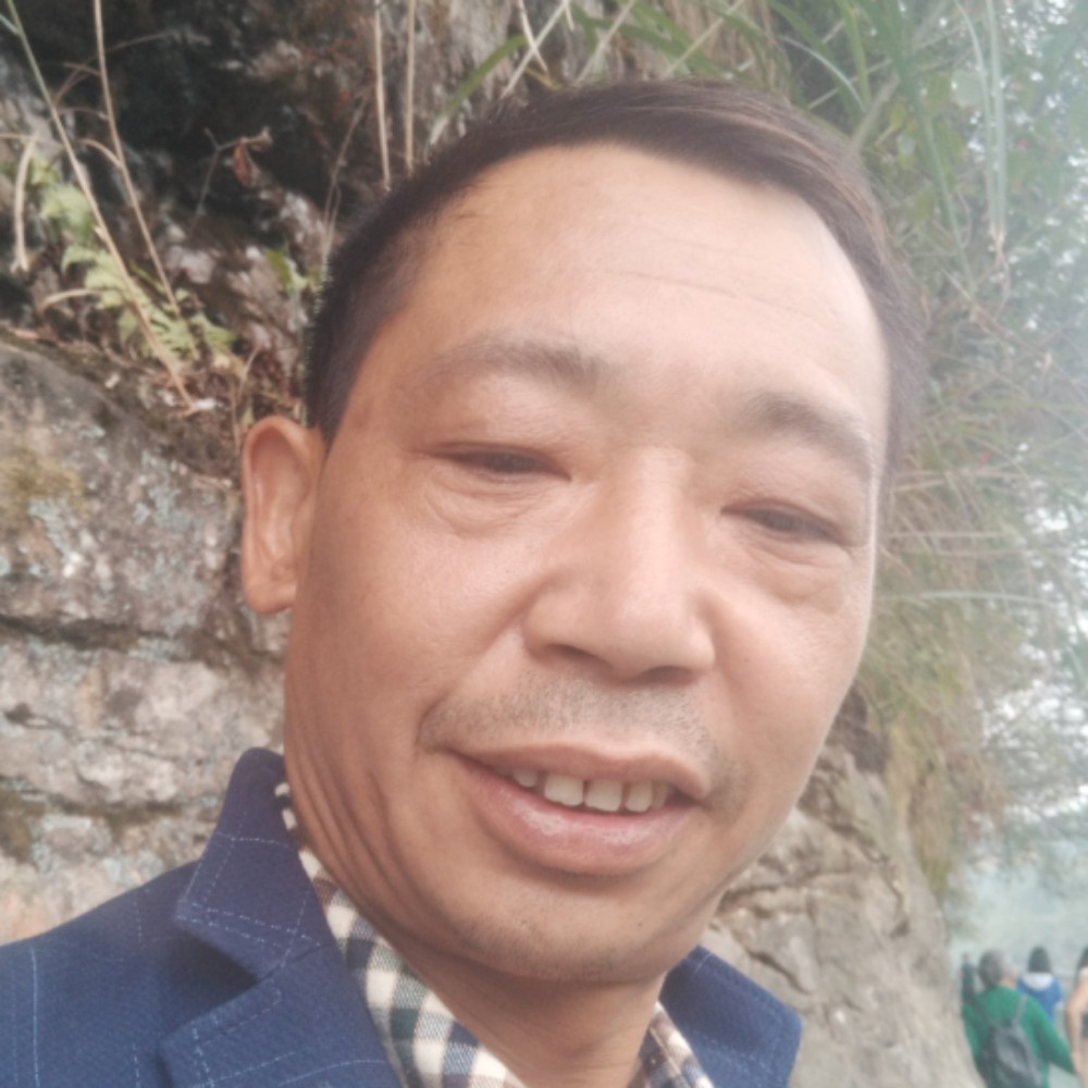 乌龟等待娇气的照片