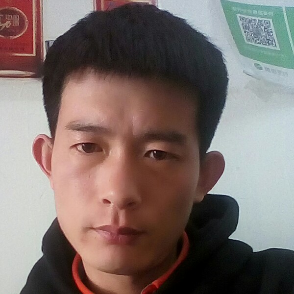 傲然而行的照片