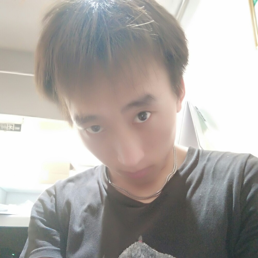 孤单蚁蝼的照片