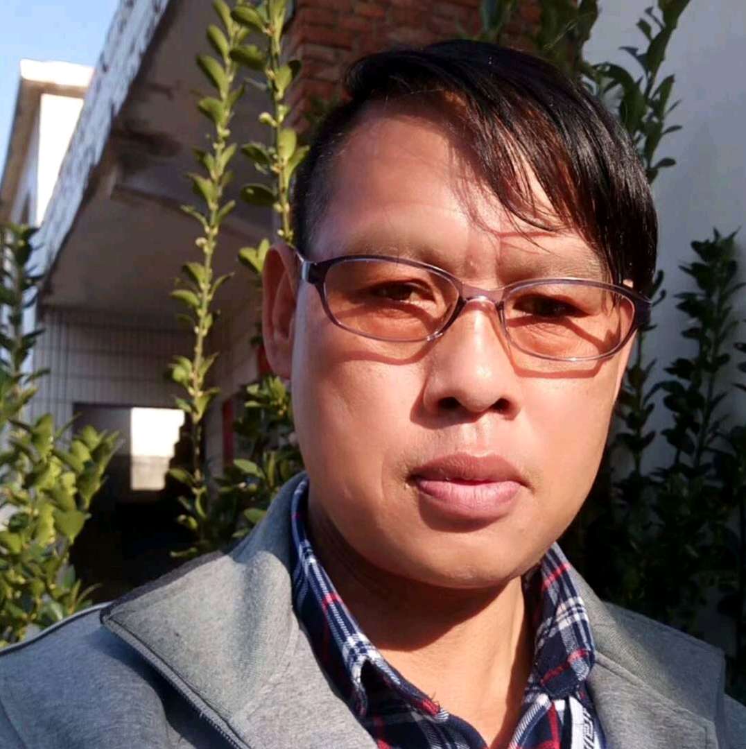 大森林的大河的照片