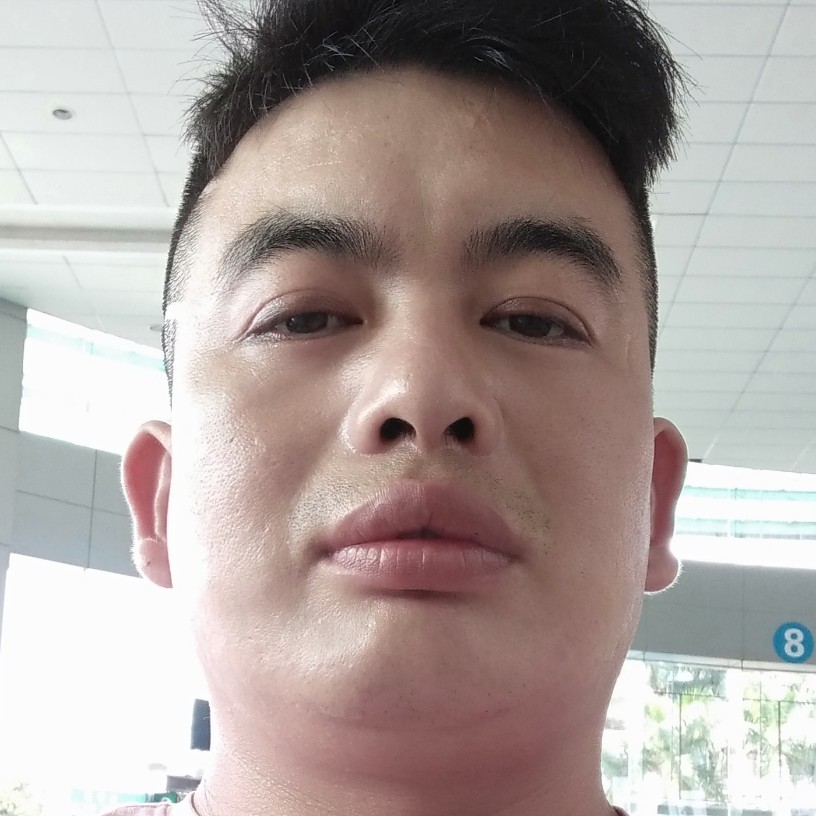 风雨流浪的照片
