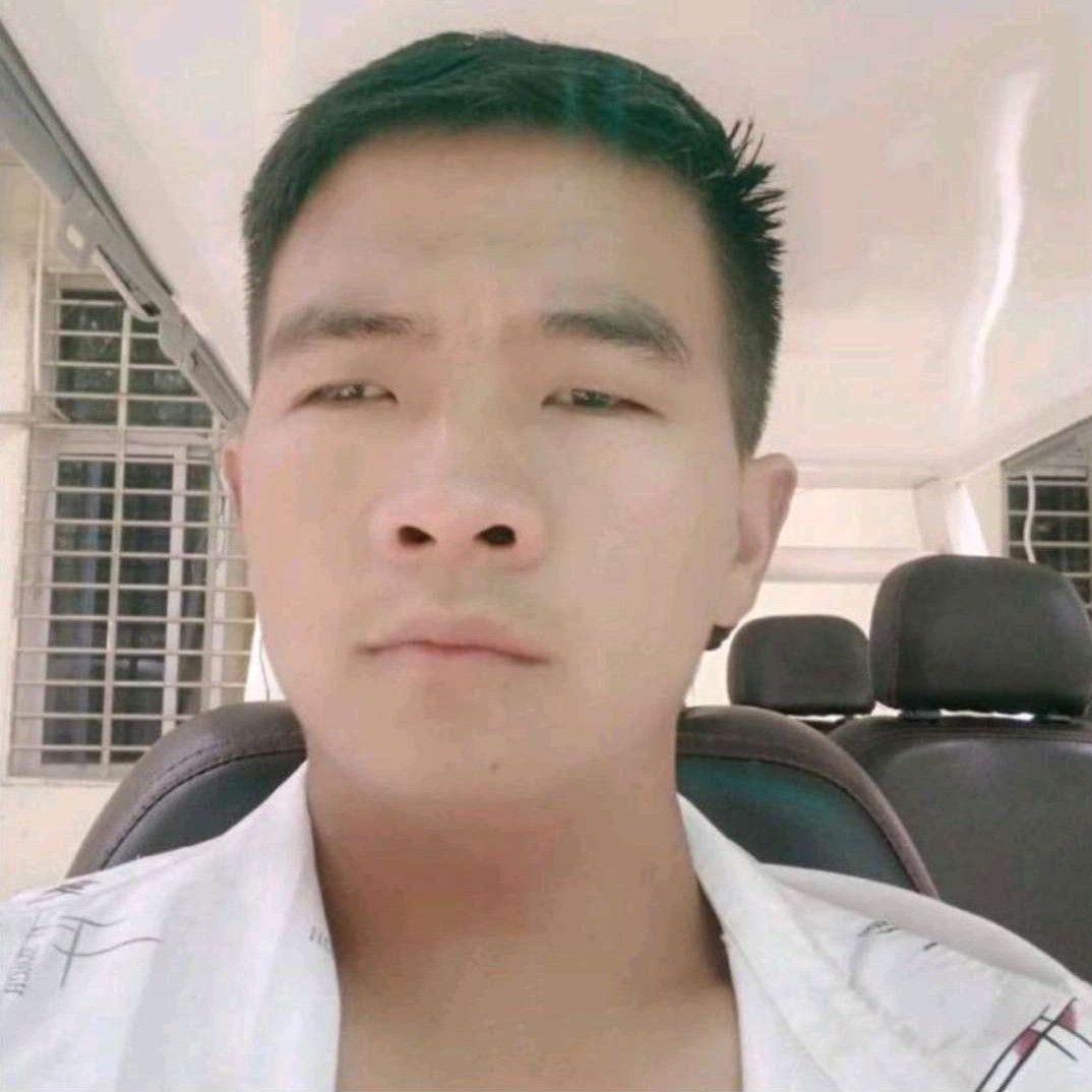 小海豚苦恋高兴的照片