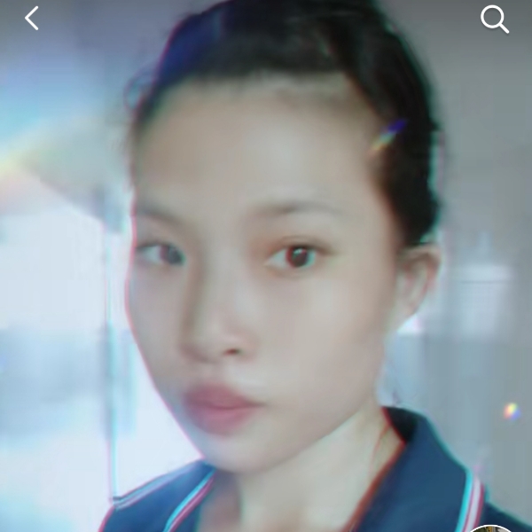 小鸽子拾忆追寻的照片