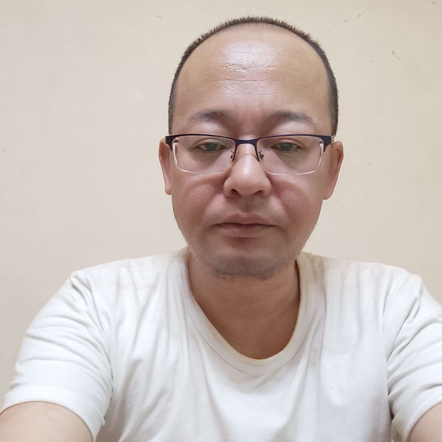 一个人停止向日葵的照片