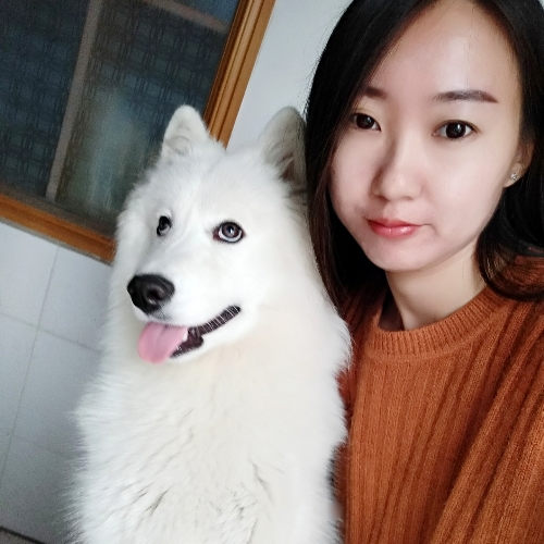 逆风飞舞的照片