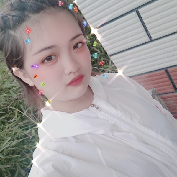 翅膀殷勤的照片