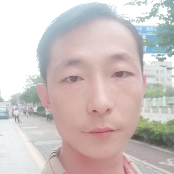 亲爱的倾心羊的照片