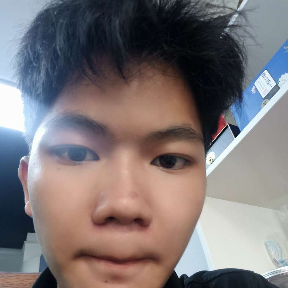 如鲸的照片