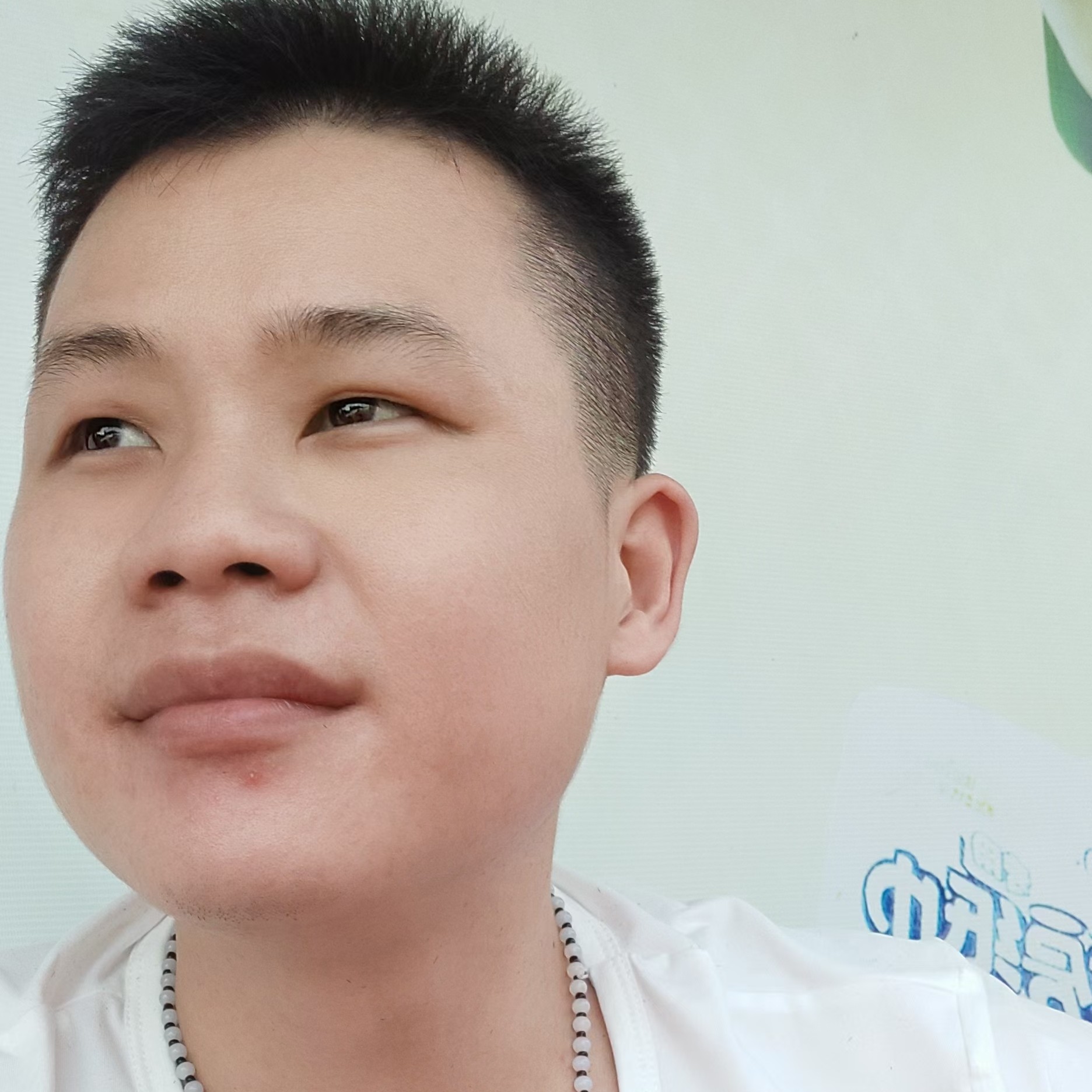 兴奋苦恋火车的照片