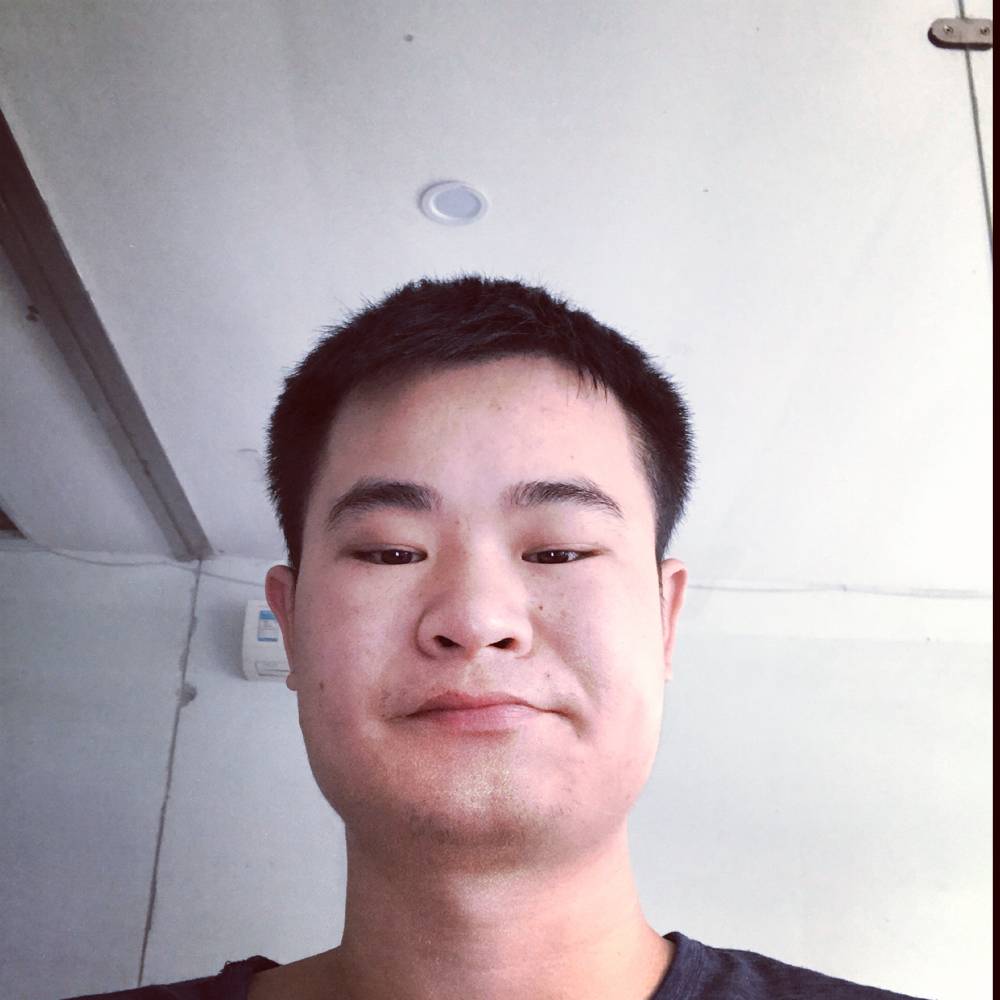 知性漫步刺猬的照片