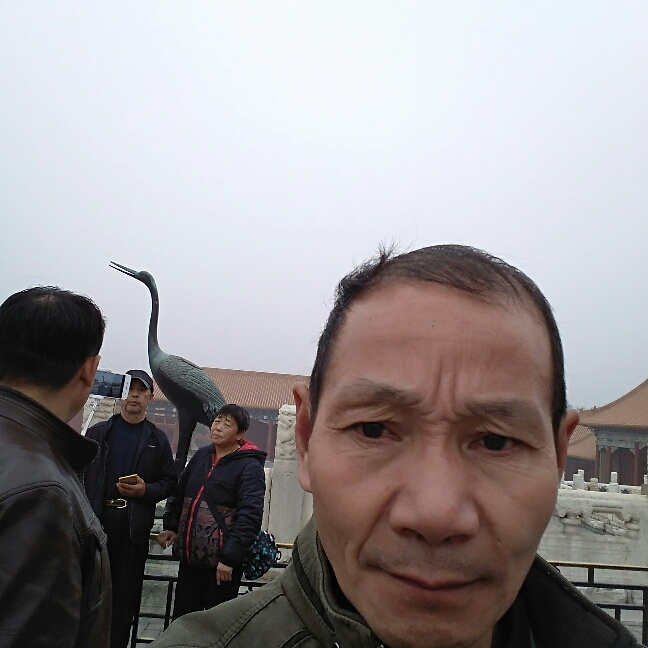 你人真好。你人真的照片