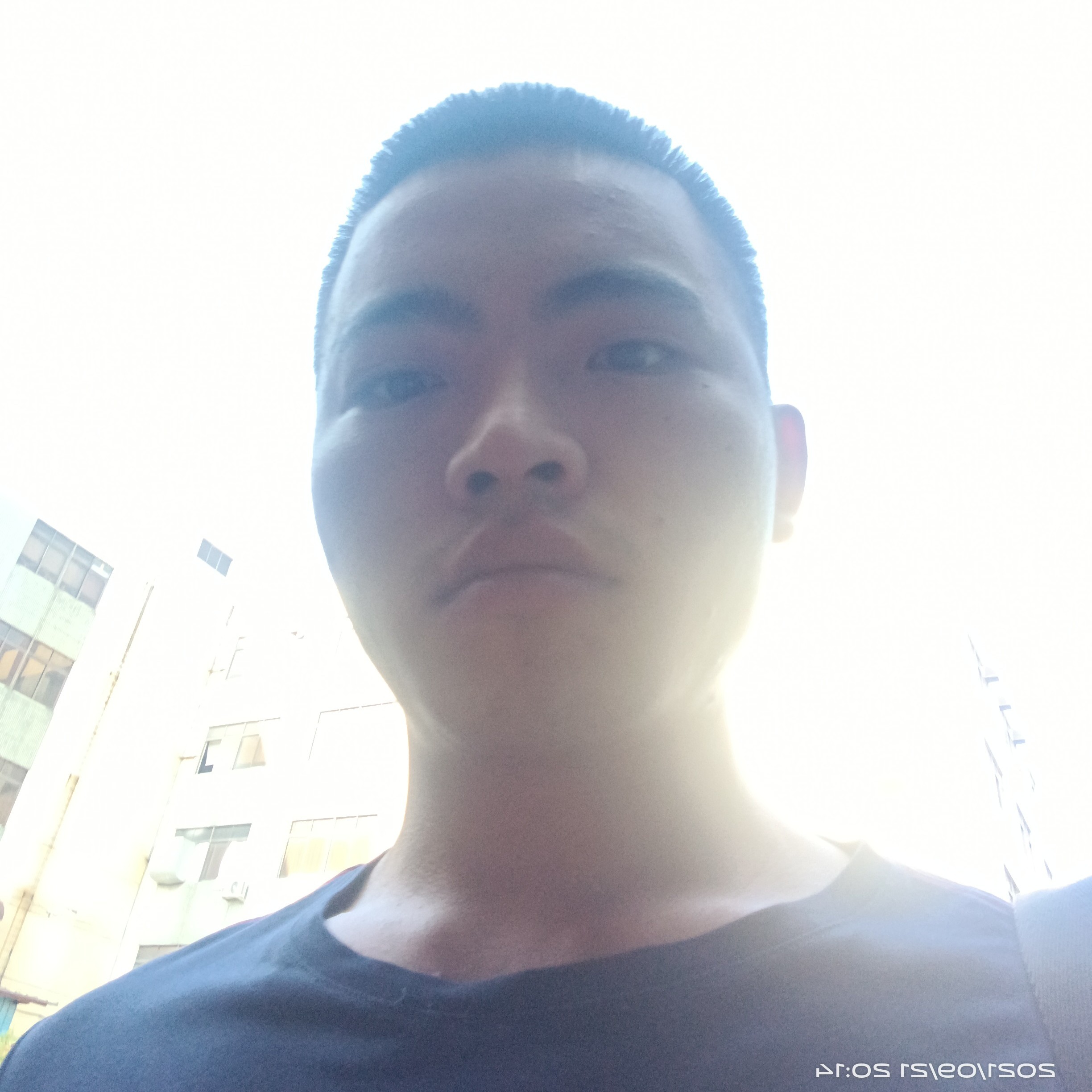 琉璃爱恋追寻的照片
