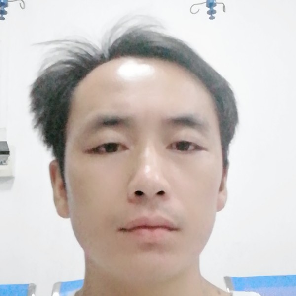 超帅回眸黄蜂的照片