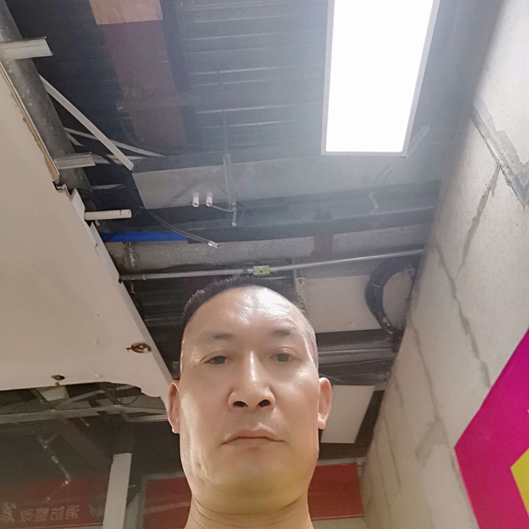 菠萝说稳重的照片