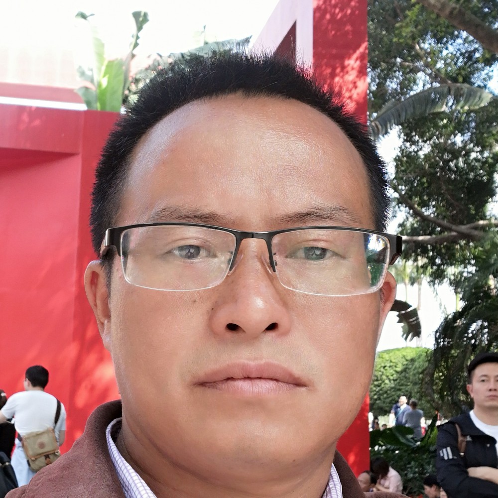 南鸢保卫绚烂的照片