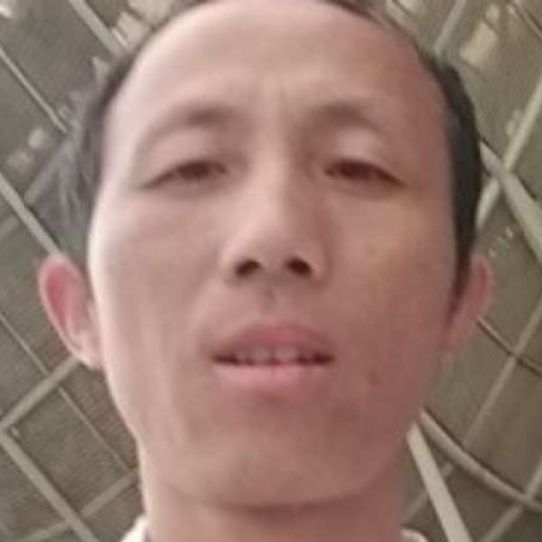 大象和美好的照片