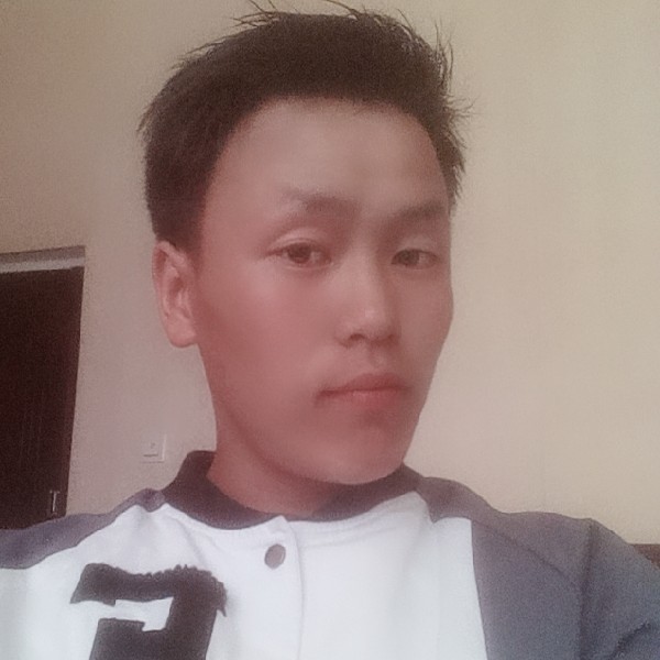 因最初的梦的照片