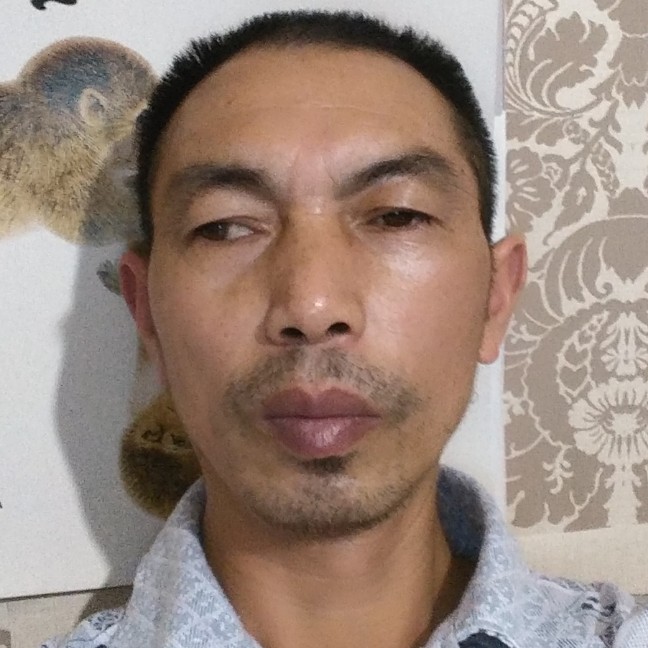 大树贤惠的照片