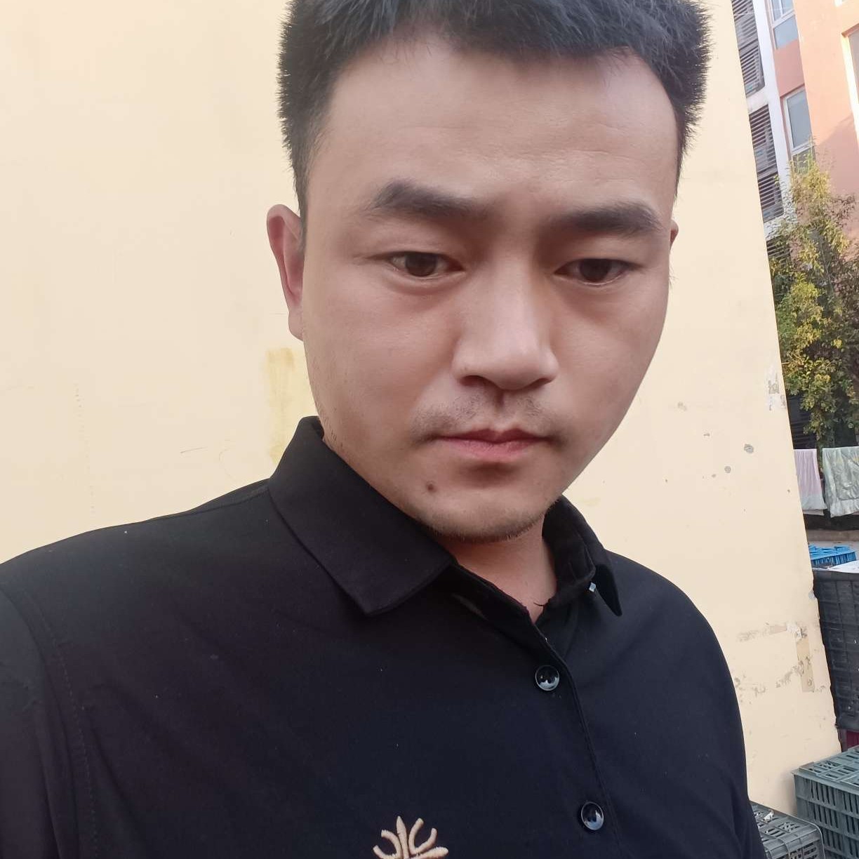 大米就高高的照片