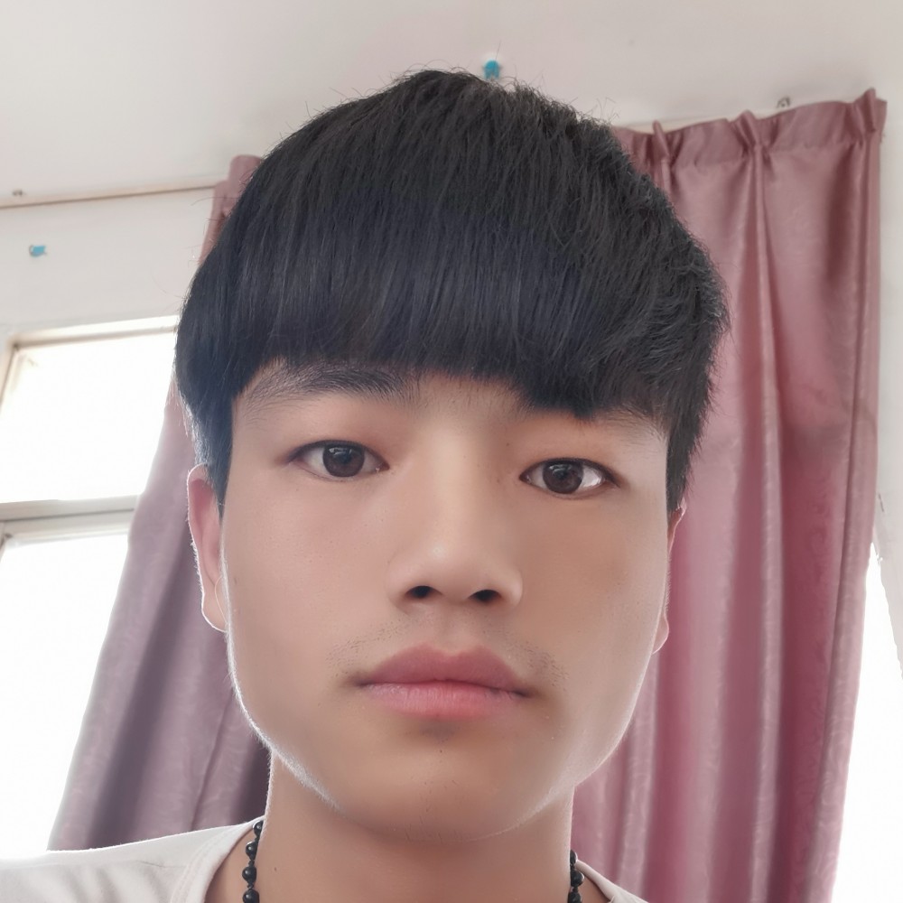 老实就灰狼的照片