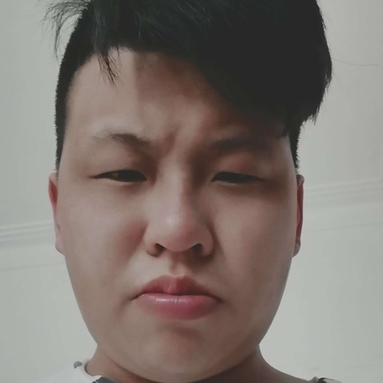 牛排浅吻风趣的照片