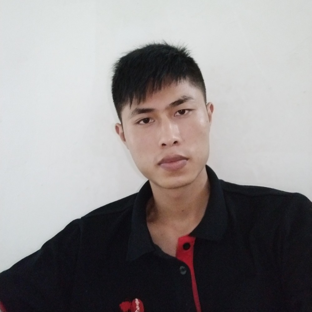 一匹小野马的照片