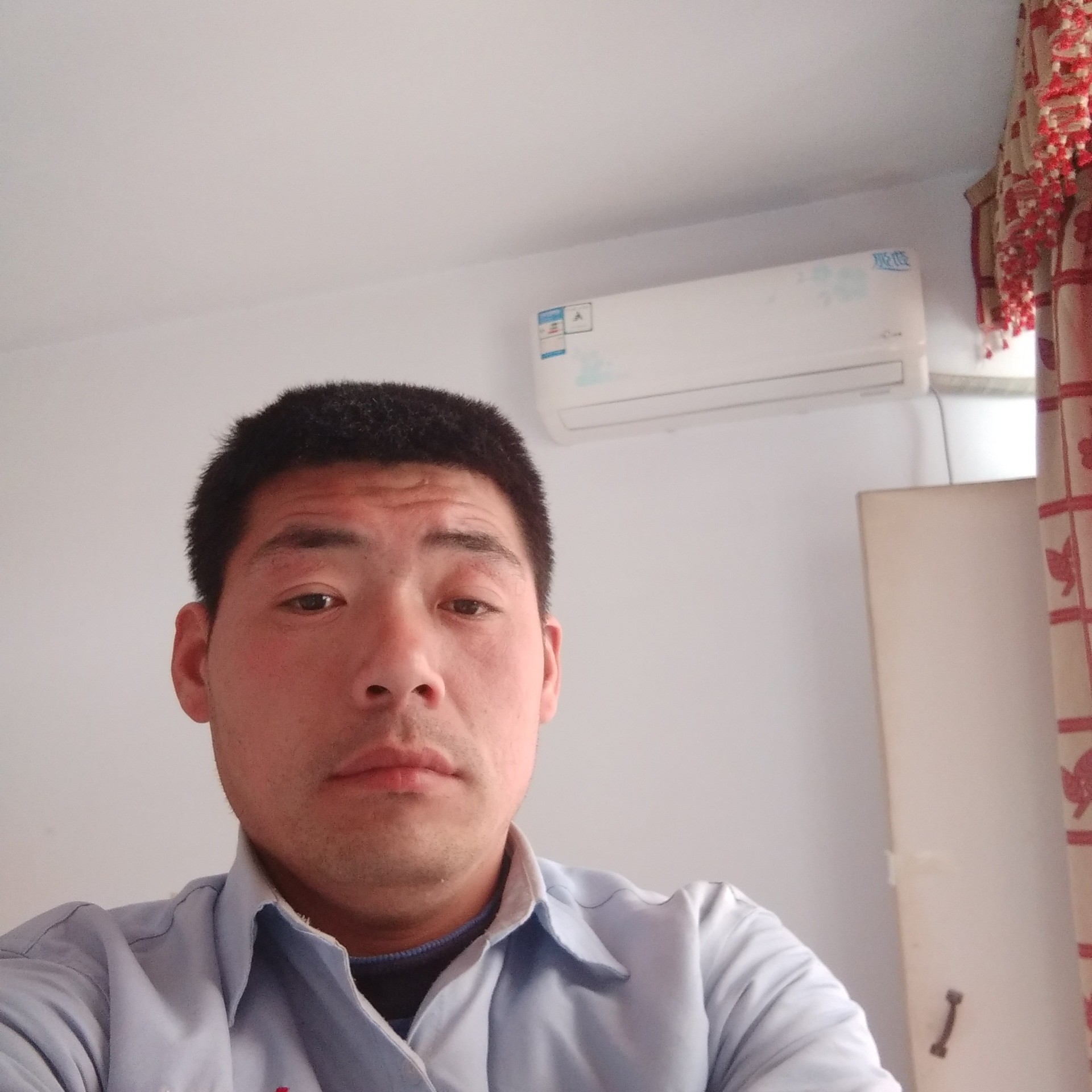 乡村稻田的照片