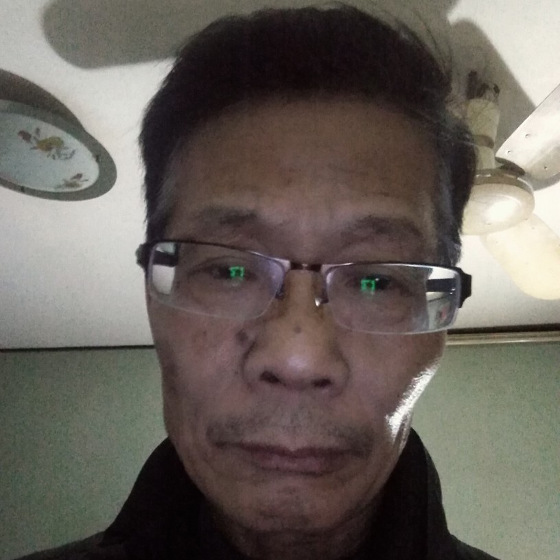 背后羊的照片