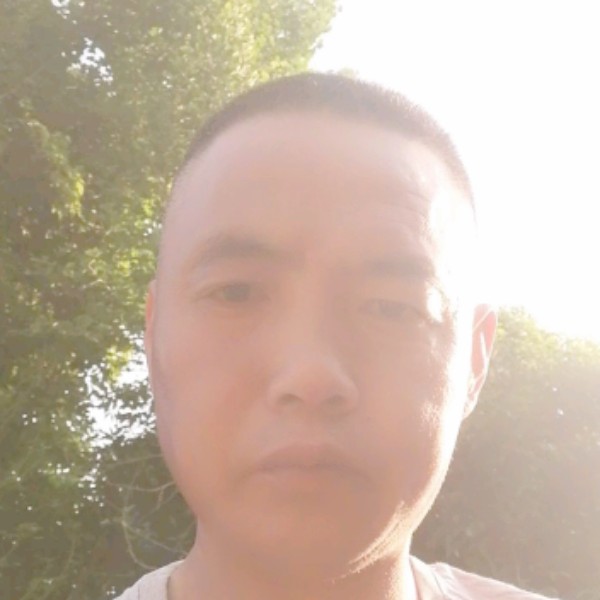 会员533830565的照片