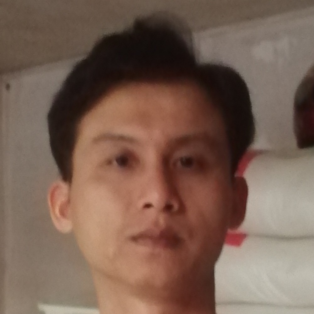 金毛爱恋英俊的照片