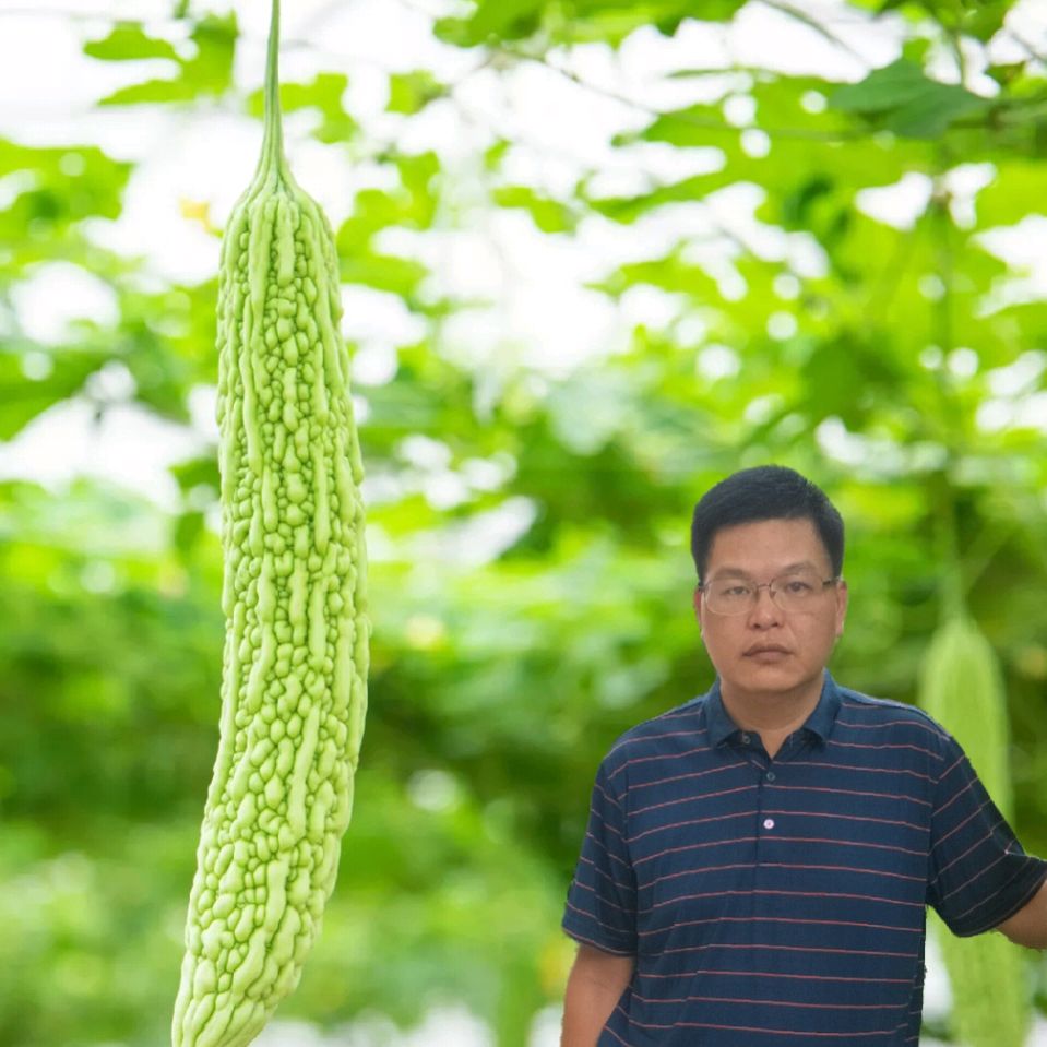 爱由心生不懈追求的照片