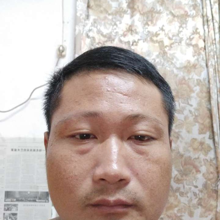 大意倾心大米的照片