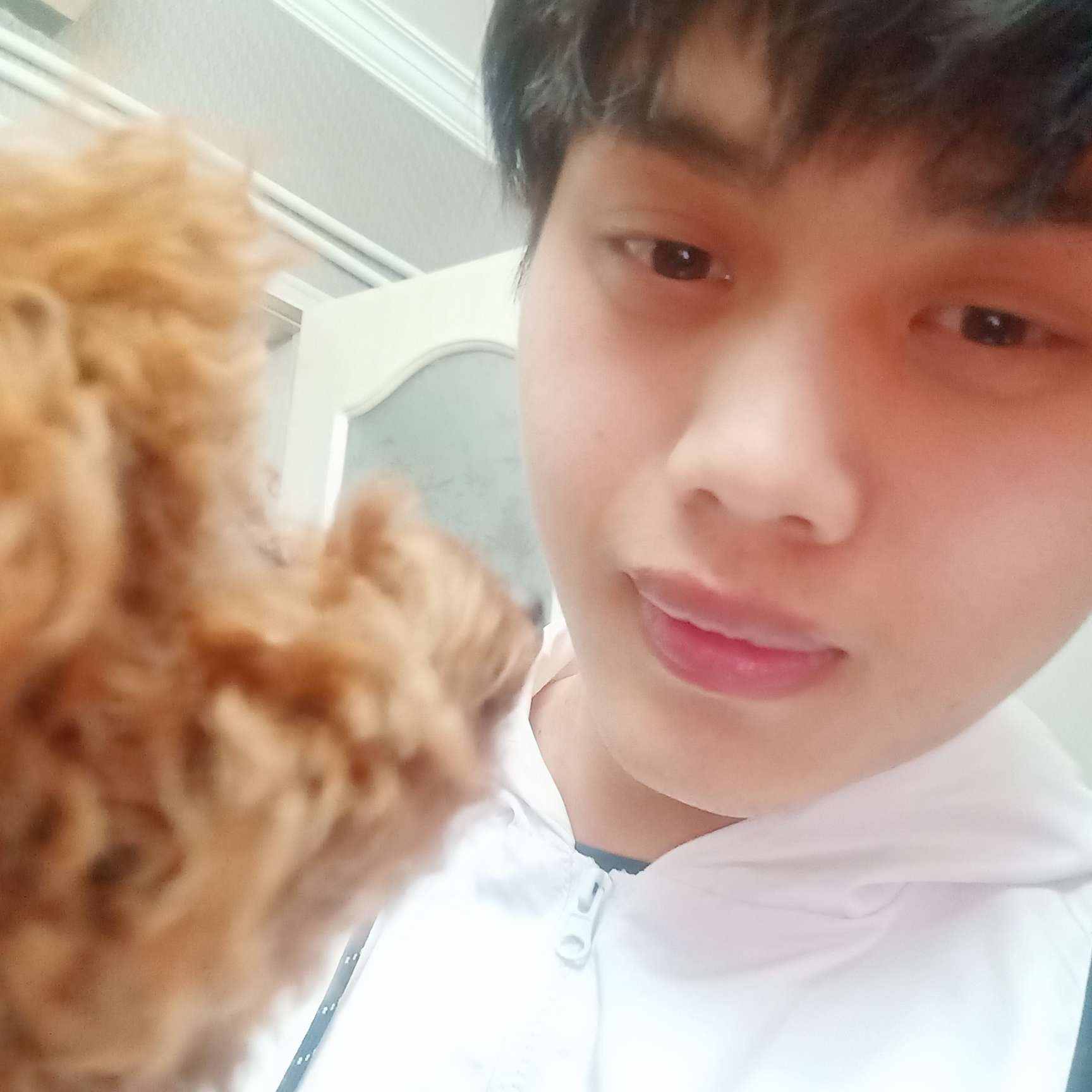 项链腼腆的照片