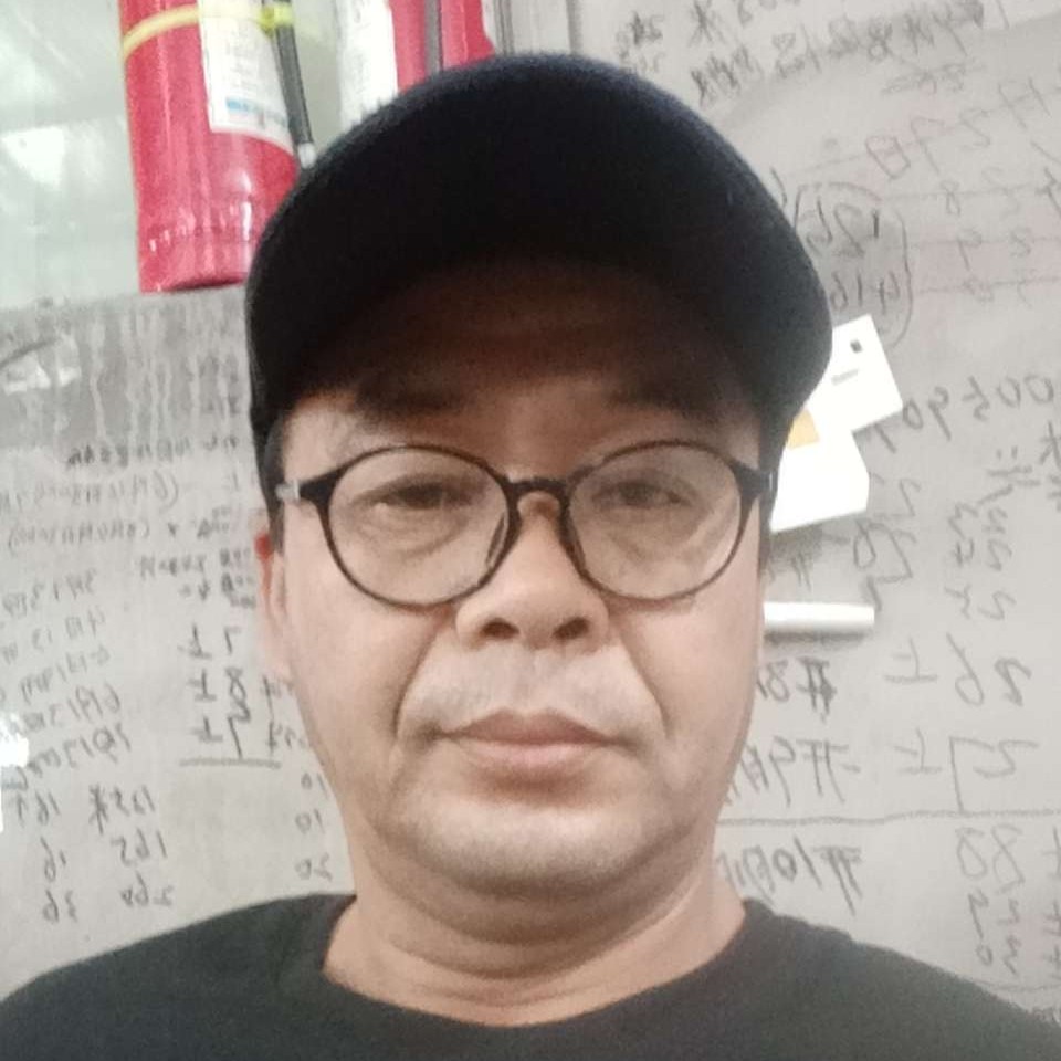 我是孤单的大雁的照片