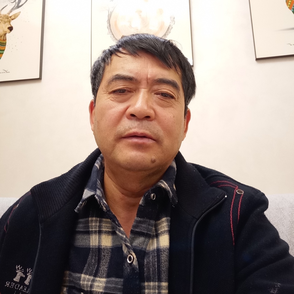 戈壁红柳林的照片