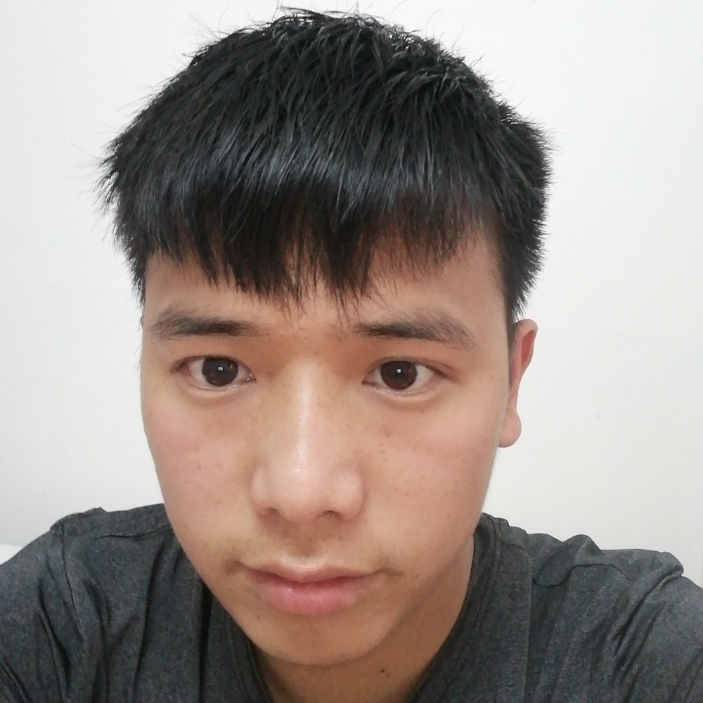 玉米端庄的照片