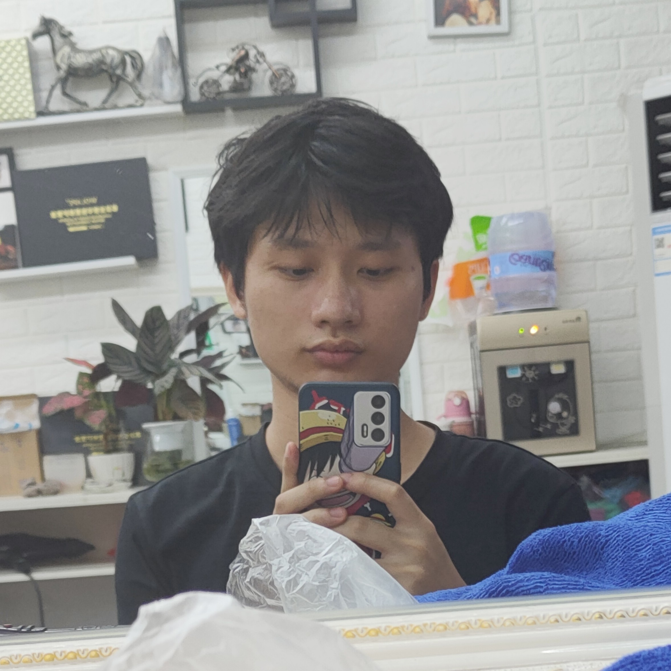 自然大鸭子的照片