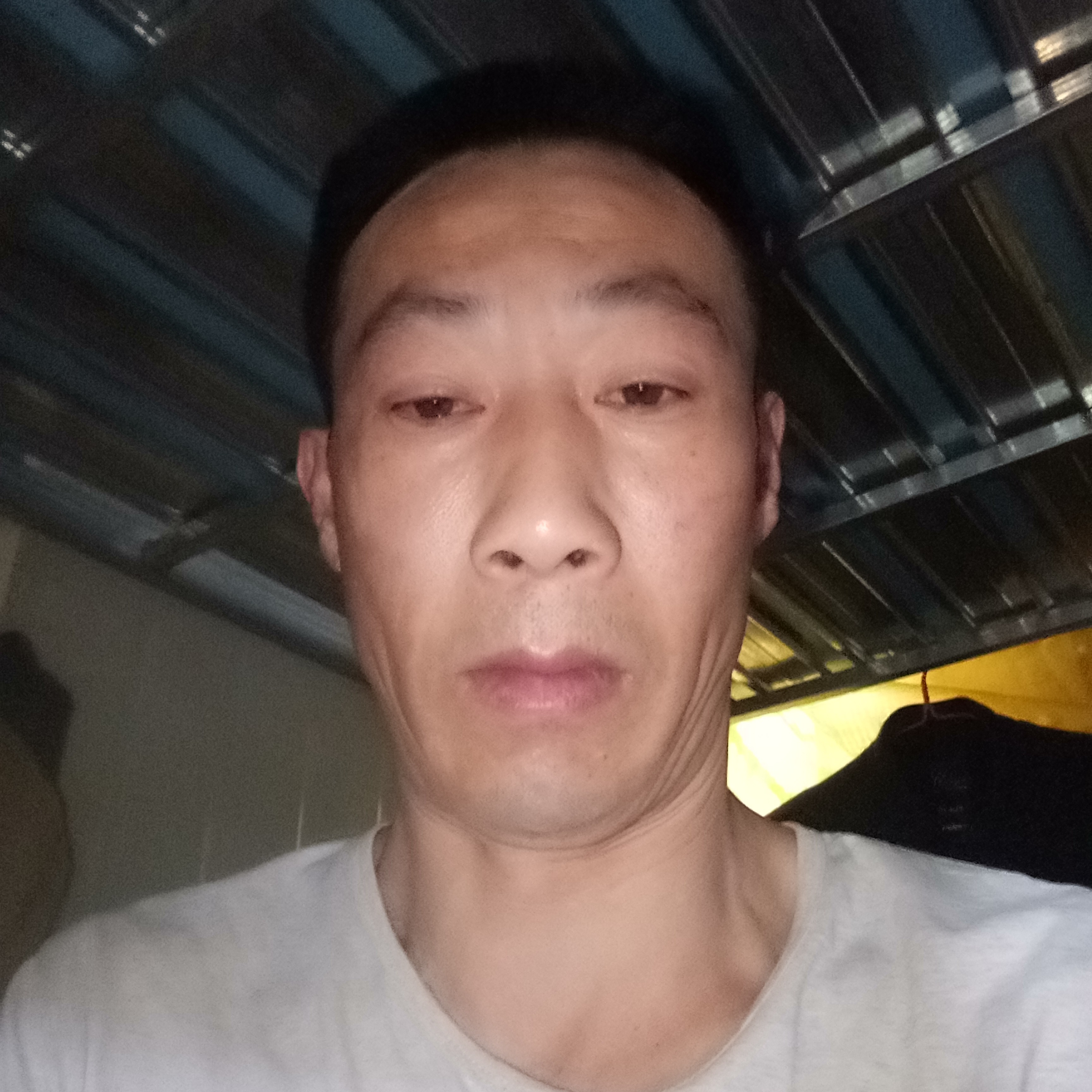 黄豆那典雅的照片