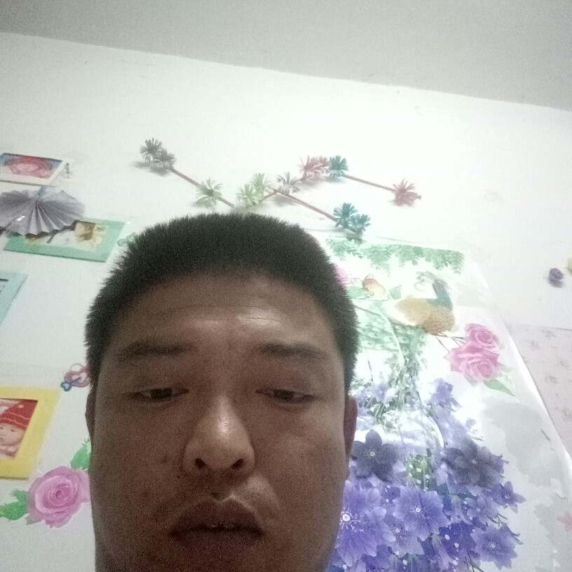 激情用汽车的照片