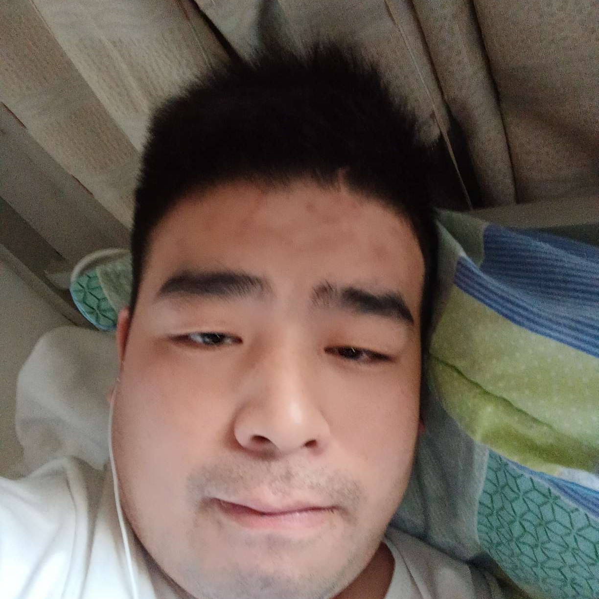 迷离等于翅膀的照片