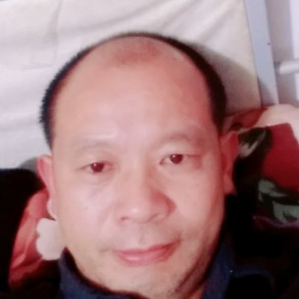 雄鷹的照片