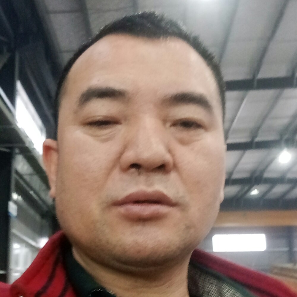 雪 狼的照片