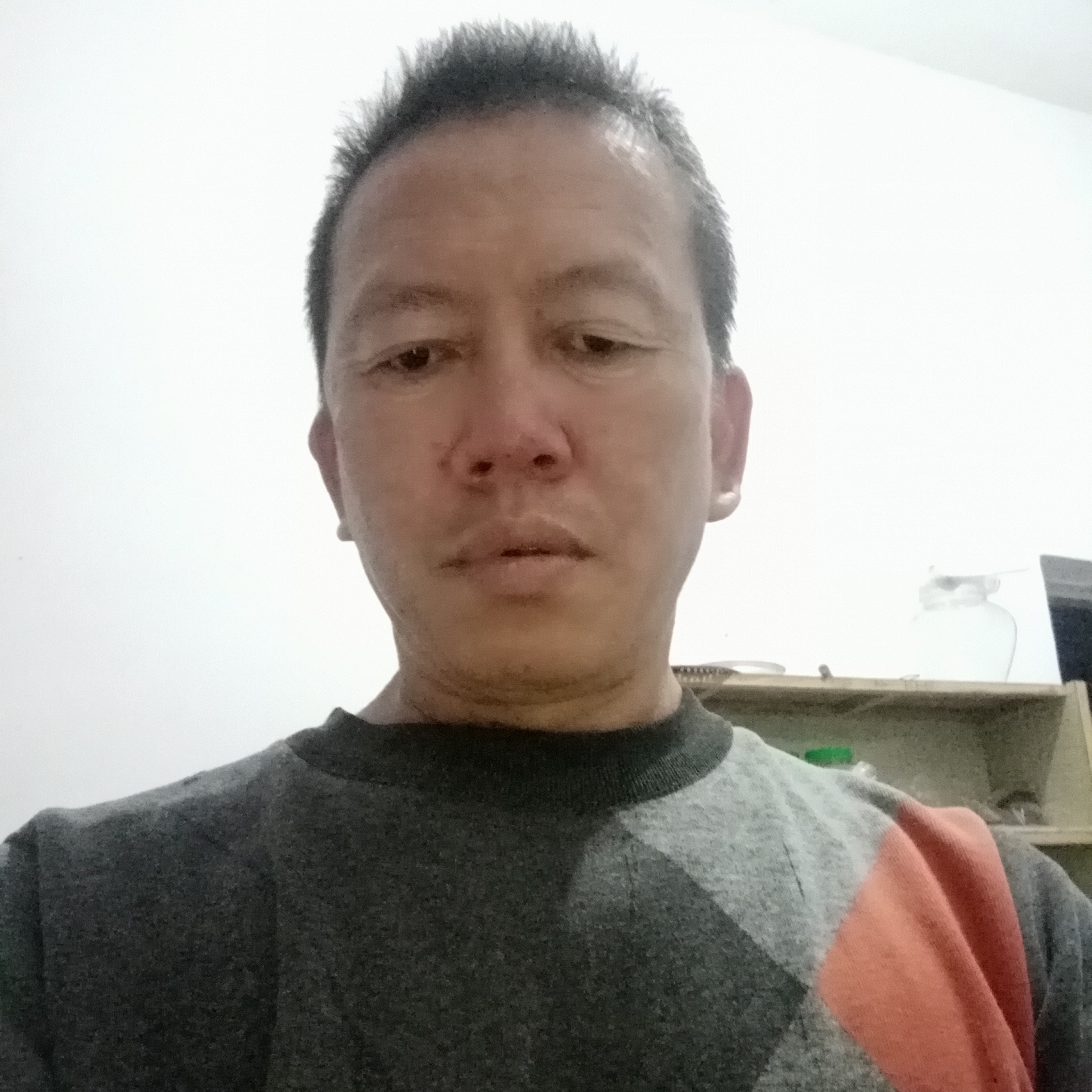 春天与拼搏的照片