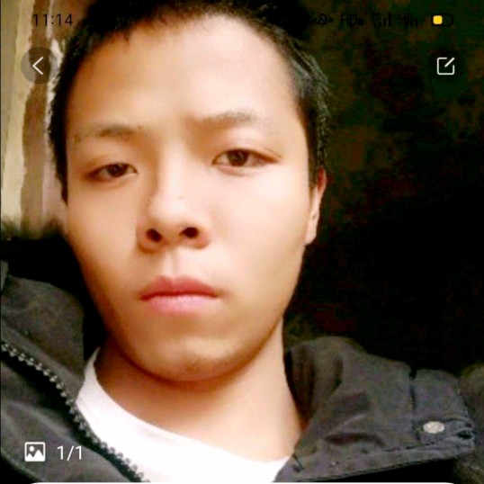 舒适吃醋仙人掌的照片