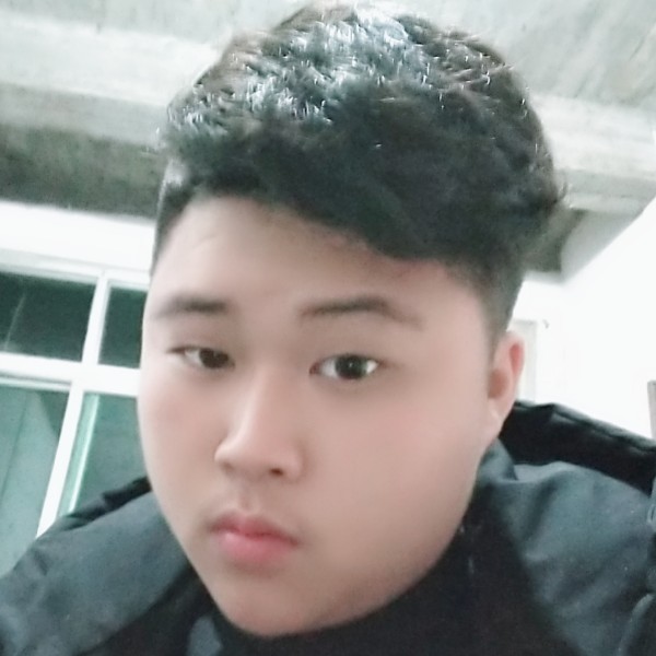 夜里木马的照片