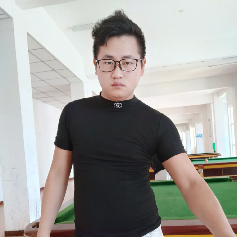 小海豚放弃聪慧的照片
