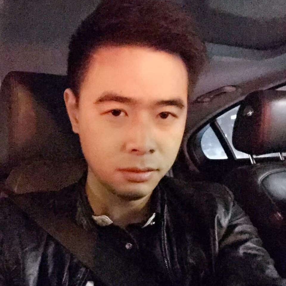 英勇爱恋蚂蚁的照片