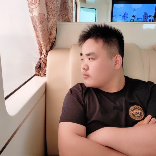 高贵用舞蹈的照片